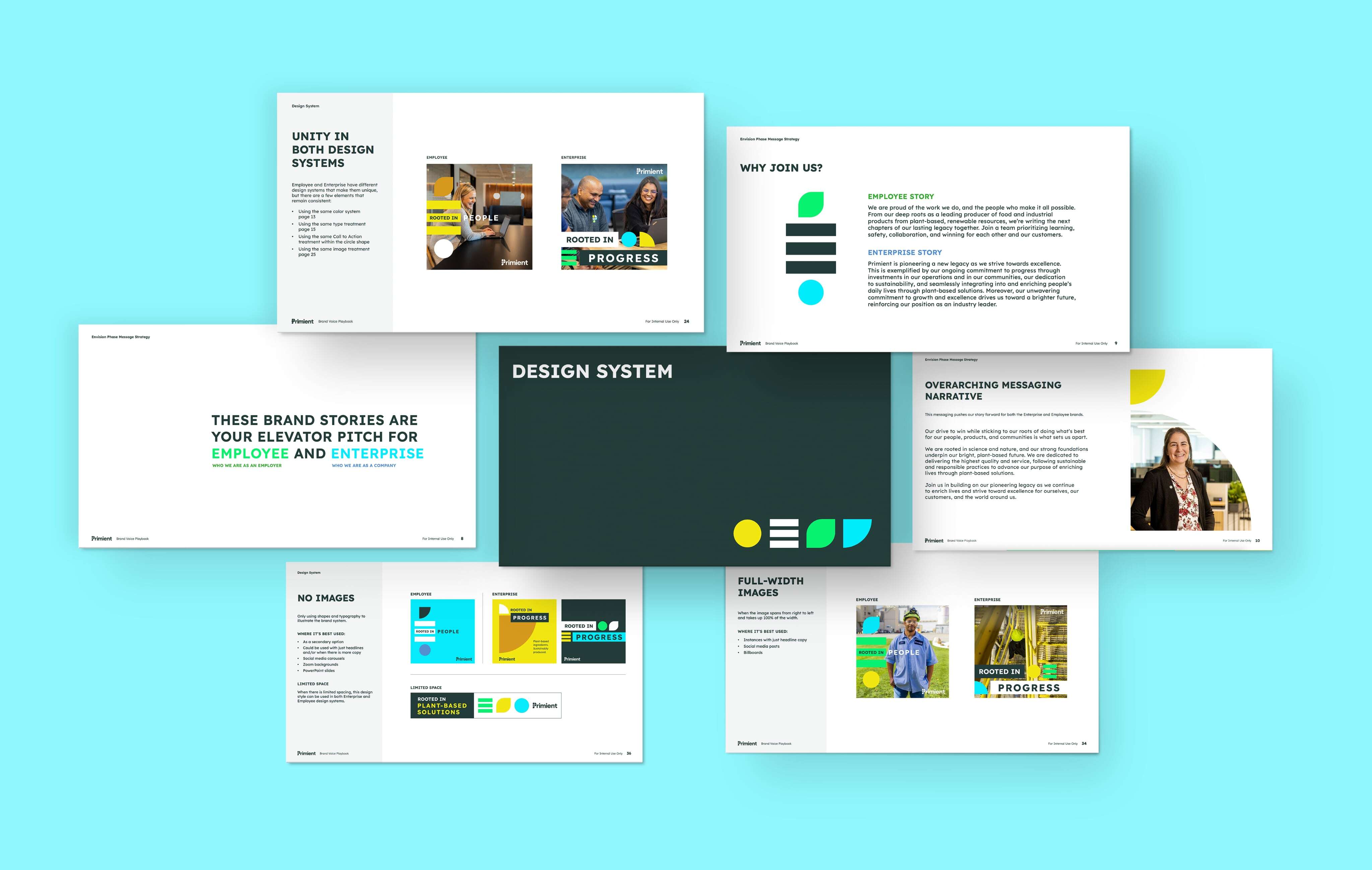 Appcast Brand and Creative creates unity across creative for Primient